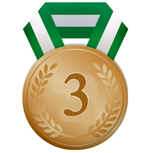 Third Place Medal